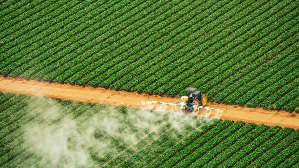Best Pest Prevention Services  in Farmingdale, NY