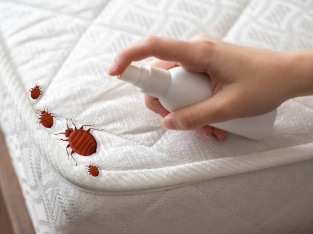 Best Pest Control Treatment  in Farmingdale, NY